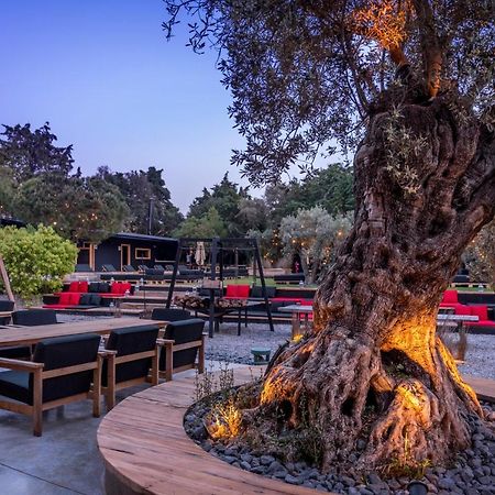 אלאקאטי Warehouse By The Stay (Adults Only) מראה חיצוני תמונה