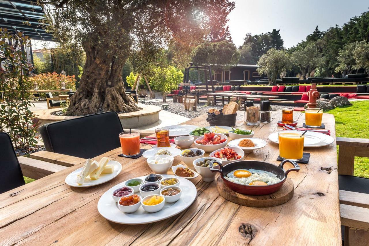 אלאקאטי Warehouse By The Stay (Adults Only) מראה חיצוני תמונה